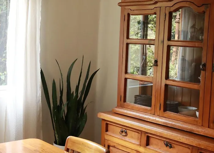 Oasis San Miguel 1 Apartment