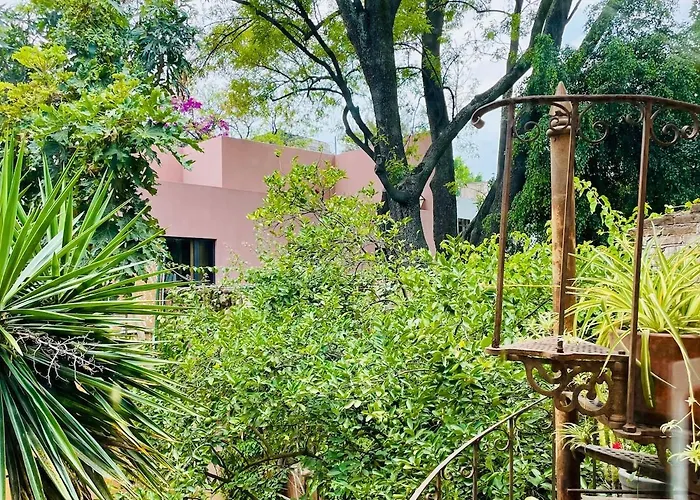 Oasis San Miguel 1 Mexico City