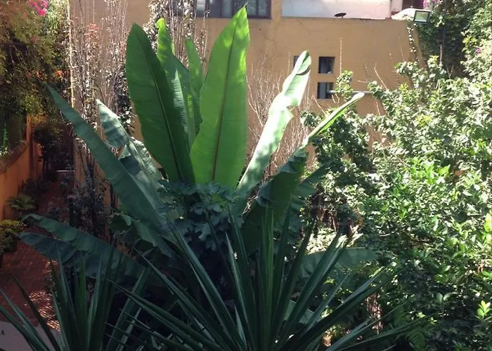 Oasis San Miguel 1 Mexico City